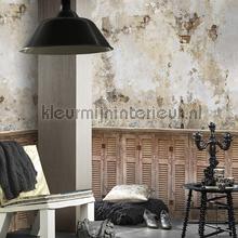 Forest Hill fototapeten Behang Expresse weltkarten 