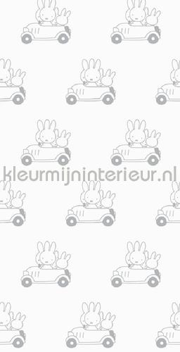 Nijntje Cars grijs behang WP-513 Baby - Peuter Kek Amsterdam