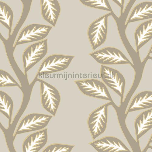 Hedera papier peint 38531 Nomadia Hookedonwalls