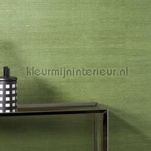 latus imitatie zijde wallcovering 50519 Paleo Arte