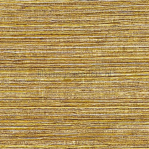 Dandy wallcovering VP 711 06 Panama Elitis