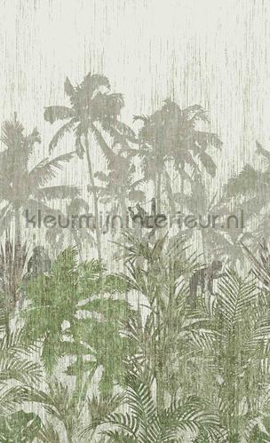 Palm trees fotomurais 200349 Panthera BN Wallcoverings