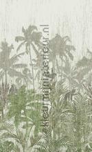 Palm trees fotomurais BN Wallcoverings Panthera 200349