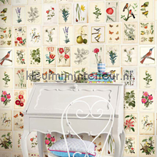 PiP Botanical Paper behang papier murales Eijffinger PiP studio wallpaper 