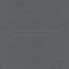 Eole 1117 wallcovering Texdecor Polyform Vinacoustic PFY91021117