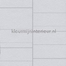 Panel 1101 wallcovering Texdecor Polyform Vinacoustic PFY91031101