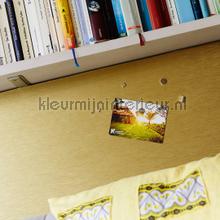 Magnetische interieurfolie goud lamina adhesiva AS Creation premium metals 