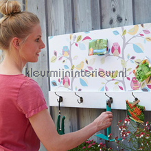 Colorful owls and birds sticker adesivi murali AS Creation Sticker top 15 