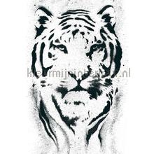 Tijger sticker decoration stickers AS Creation teenager 
