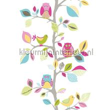 Colorful owls and birds sticker wallstickers AS Creation vindue stickers 