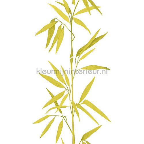 Bamboo stengel XL sticker decoration stickers 942731 nature AS Creation