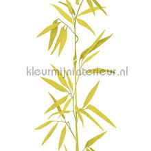 Bamboo stengel XL sticker interieurstickers AS Creation bloemen natuur 