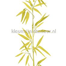 Bamboo stengel XL sticker wallstickers AS Creation vindue stickers 
