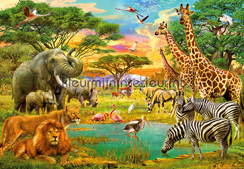 African Animals fotobehang 00154 aanbieding fotobehang Ideal Decor