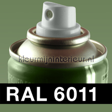 RAL 6011 Resedagroen vernice auto ral spraycan 