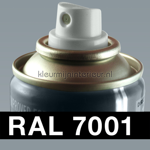 RAL 7001 Zilvergrijs pintura para coches pintura ral en spray