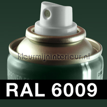 RAL 6009 Dennegroen carpaint ral spraycan 