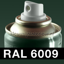 RAL 6009 Dennegroen nautolak Alle-ploatjes