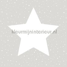 Grote sterren met twinkels grijs papel pintado 27104 estrellas Behang Expresse