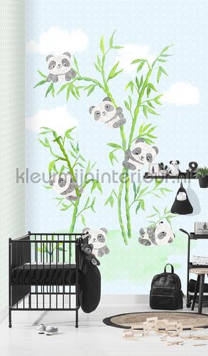 Koalas in de bamboo fotomurales ink7012 Puck and Rose Behang Expresse