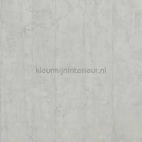 Concrete strokes carta da parati 218830 Raw Matters BN Wallcoverings