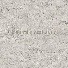 Concrete papier peint Dutch Wallcoverings Collected FD22313