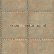 Oxidized metal plate with nails tapeten Dutch Wallcoverings weltraum 