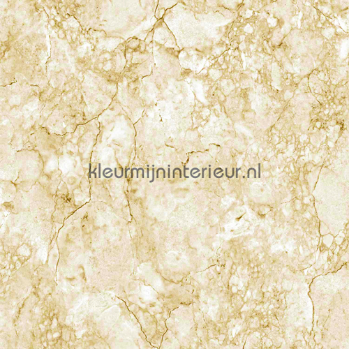 Marmer tapeten E85507 Replik Dutch Wallcoverings