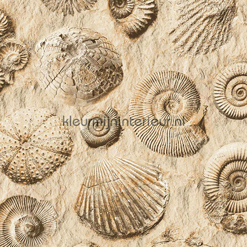 Fossielen behang J86208 onderwaterwereld Dutch Wallcoverings
