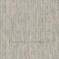 Cipres bast behang 369091 hout Motieven