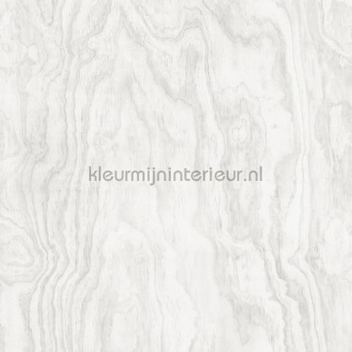 Grote houtnerf structuur behang 2540-24039 Interieurvoorbeelden behang Dutch Wallcoverings