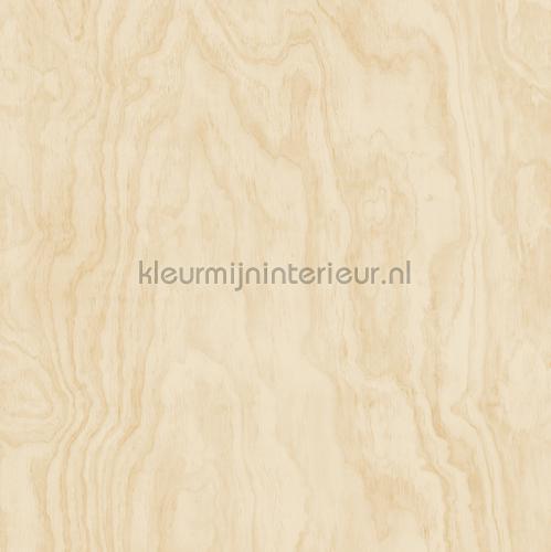 Grote houtnerf structuur papel de parede 2540-24042 madeira Dutch Wallcoverings