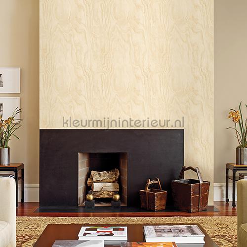 Grote houtnerf structuur papel de parede 2540-24042 madeira Dutch Wallcoverings