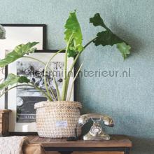  behaang 219954 bekant vur niks BN Wallcoverings