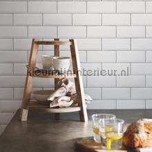 Metro tegels behaang 219961 Engelse blukskes BN Wallcoverings