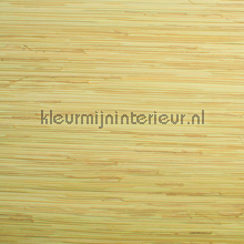 Boodle papier peint Rodeka Savanna 99-004