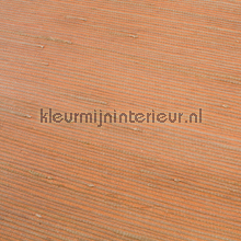 Jute papier peint 60-018 Savanna Rodeka