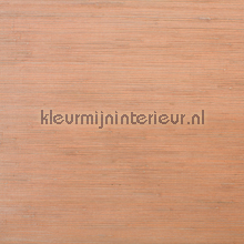 Jute papier peint 60-018 Savanna Rodeka