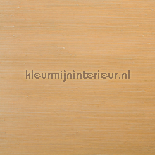 Jute papier peint 60-017 Savanna Rodeka