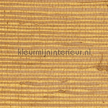 Jute op goud papel pintado Rodeka Savanna 60-015