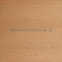 Sisal bruin papier peint Rodeka Savanna 20-014