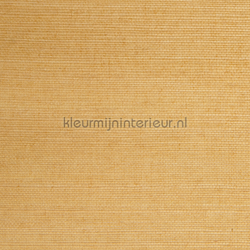 Sisal goud geel papier peint 20-013 Savanna Rodeka