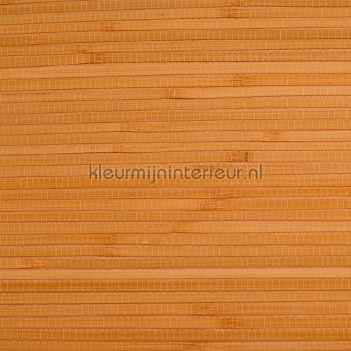 Bamboo natural papier peint 30-002 Savanna Rodeka