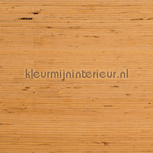 Jute papier peint Rodeka Savanna 60-013