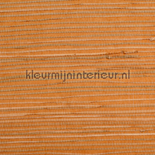 Riet oranje goud papel pintado Rodeka Savanna 50-003