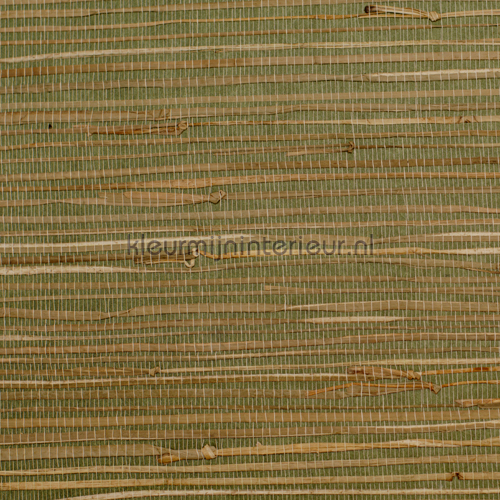 Zeegras donker groen papier peint 50-008 Savanna Rodeka
