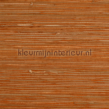 Zeegras papier peint Rodeka Savanna 50-006