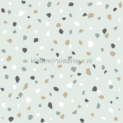 Gespikkelt terrazo mint papel pintado 152-139036 puntos Esta home