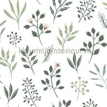 Frisse blaadjes wallcovering 152-139080 leaves Esta home