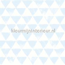 Driehoekjes licht blauw behang Onszelf behang 